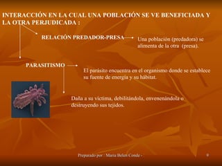INTERACCIÓN EN LA CUAL UNA POBLACIÓN SE VE BENEFICIADA Y LA OTRA PERJUDICADA : RELACIÓN PREDADOR-PRESA Una población (predadora) se alimenta de la otra  (presa). PARASITISMO El parásito encuentra en el organismo donde se establece su fuente de energía y su hábitat.  Daña a su víctima, debilitándola, envenenándola o destruyendo sus tejidos.  