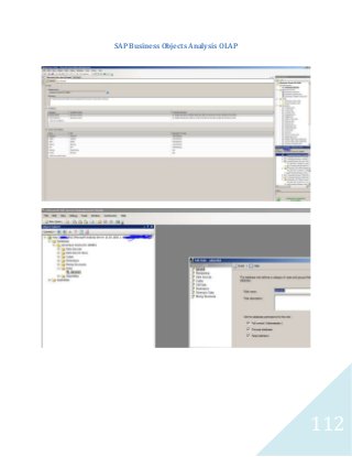 112
SAP Business Objects Analysis OLAP
 