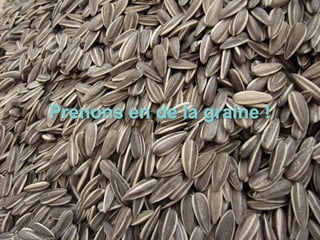 Prenons en de la graine !
 