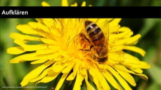 Aufklären




http://www.flickr.com/photos/shedenig/4547369285/sizes/l/
 