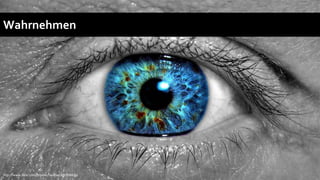 Wahrnehmen




http://www.flickr.com/photos/residae/386508456/
 