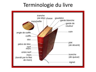 Terminologie du livre
 