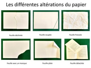 Les différentes altérations du papier
Feuille coupée Feuille froissée
 