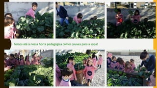 Fomos até à nossa horta pedagógica colher couves para a sopa!
 