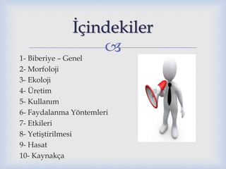 
1- Biberiye – Genel
2- Morfoloji
3- Ekoloji
4- Üretim
5- Kullanım
6- Faydalanma Yöntemleri
7- Etkileri
8- Yetiştirilmesi
9- Hasat
10- Kaynakça
İçindekiler
 