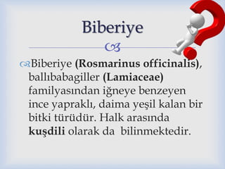 
Biberiye (Rosmarinus officinalis),
ballıbabagiller (Lamiaceae)
familyasından iğneye benzeyen
ince yapraklı, daima yeşil kalan bir
bitki türüdür. Halk arasında
kuşdili olarak da bilinmektedir.
Biberiye
 