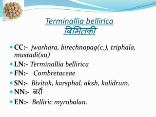 Terminallia bellirica

बिभितकी

 CC:- jwarhara, birechnopag(c.), triphala,
mustadi(su)
 LN:- Terminallia bellirica
 FN:- Combretaceae
 SN:- Bivitak, karsphal, aksh, kalidrum.
 NN:- िर्रो
 EN:- Belliric myrobalan.

 