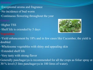Jasmine
•Exceptional aroma and fragrance
•No incidence of bud worm
•Continuous flowering throughout the year
Guava
•Higher TSS
•Shelf life is extended by 5 days
Vegetables
•Yield enhancement by 18% and in few cases like Cucumber, the yield is
doubled
•Wholesome vegetables with shiny and appealing skin
•Extended shelf life
•Very tasty with strong flavor
Generally panchagavya is recommended for all the crops as foliar spray at
30 % level (3 litre panchagavya in 100 litres of water).
 