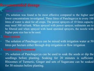 1. Spray system
• 3% solution was found to be most effective compared to the higher and
lower concentrations investigated. Three litres of Panchagavya to every 100
litres of water is ideal for all crops. The power sprayers of 10 litres capacity
may need 300 ml/tank. When sprayed with power sprayer, sediments are to
be filtered and when sprayed with hand operated sprayers, the nozzle with
higher pore size has to be used.
2. Flow system
• The solution of Panchagavya can be mixed with irrigation water at 50
litres per hectare either through drip irrigation or flow irrigation
3. Seed/seedling treatment
• 3% solution of Panchagavya can be used to soak the seeds or dip the
seedlings before planting. Soaking for 20 minutes is sufficient.
Rhizomes of Turmeric, Ginger and sets of Sugarcane can be soaked
for 30 minutes before planting.
 