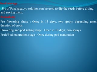 •3% of Panchagavya solution can be used to dip the seeds before drying
and storing them.
Periodicity
Pre flowering phase : Once in 15 days, two sprays depending upon
duration of crops
Flowering and pod setting stage : Once in 10 days, two sprays
Fruit/Pod maturation stage : Once during pod maturation
 