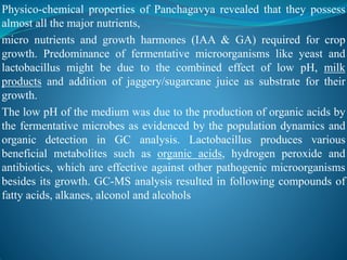 Physico-chemical properties of Panchagavya revealed that they possess
almost all the major nutrients,
micro nutrients and growth harmones (IAA & GA) required for crop
growth. Predominance of fermentative microorganisms like yeast and
lactobacillus might be due to the combined effect of low pH, milk
products and addition of jaggery/sugarcane juice as substrate for their
growth.
The low pH of the medium was due to the production of organic acids by
the fermentative microbes as evidenced by the population dynamics and
organic detection in GC analysis. Lactobacillus produces various
beneficial metabolites such as organic acids, hydrogen peroxide and
antibiotics, which are effective against other pathogenic microorganisms
besides its growth. GC-MS analysis resulted in following compounds of
fatty acids, alkanes, alconol and alcohols
 