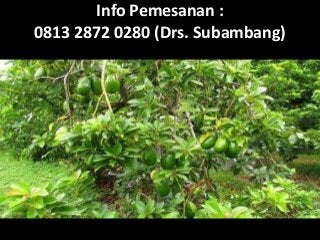 Info Pemesanan :
0813 2872 0280 (Drs. Subambang)
 