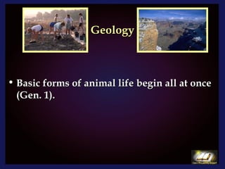 Geology Basic forms of animal life begin all at once (Gen. 1). 