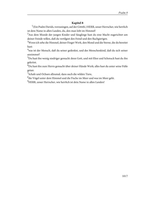 Bible - German Luther Translation .pdf