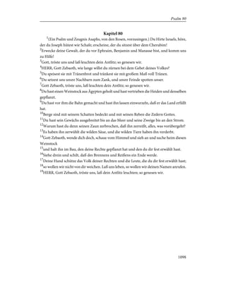 Bible - German Luther Translation .pdf