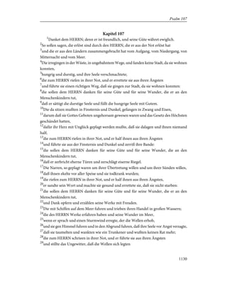 Bible - German Luther Translation .pdf