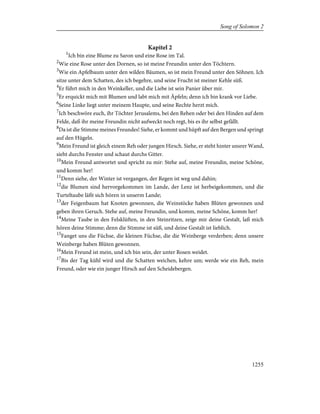 Bible - German Luther Translation .pdf