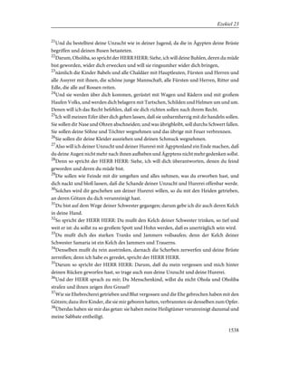 Bible - German Luther Translation .pdf