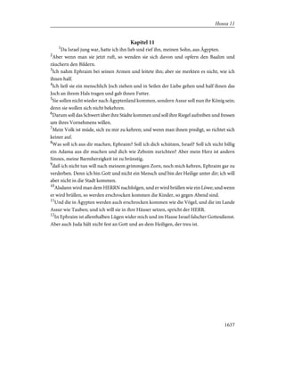 Bible - German Luther Translation .pdf