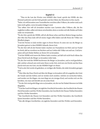 Bible - German Luther Translation .pdf