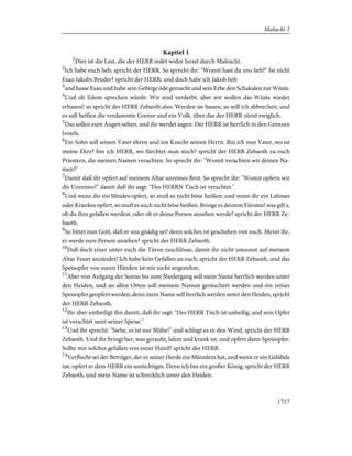 Bible - German Luther Translation .pdf