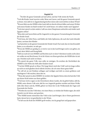 Kapitel 14
1
Da fuhr die ganze Gemeinde auf und schrie, und das Volk weinte die Nacht.
2
Und alle Kinder Israel murrten wider Mose und Aaron, und die ganze Gemeinde sprach
zu ihnen: Ach, daß wir in Ägyptenland gestorben wären oder noch stürben in dieser Wüste!
3
Warum führt uns der HERR in dies Land, daß wir durchs Schwert fallen und unsere Weiber
und unsere Kinder ein Raub werden? Ist's nicht besser, wir ziehen wieder nach Ägypten?
4
Und einer sprach zu dem andern: Laßt uns einen Hauptmann aufwerfen und wieder nach
Ägypten ziehen!
5
Mose aber und Aaron fielen auf ihr Angesicht vor der ganzen Versammlung der Gemeinde
der Kinder Israel.
6
Und Josua, der Sohn Nuns, und Kaleb, der Sohn Jephunnes, die auch das Land erkundet
hatten, zerrissen ihre Kleider
7
und sprachen zu der ganzen Gemeinde der Kinder Israel: Das Land, das wir durchwandelt
haben, es zu erkunden, ist sehr gut.
8
Wenn der HERR uns gnädig ist, so wird er uns in das Land bringen und es uns geben, ein
Land, darin Milch und Honig fließt.
9
Fallt nur nicht ab vom HERRN und fürchtet euch vor dem Volk dieses Landes nicht; denn
wir wollen sie wie Brot fressen. Es ist ihr Schutz von ihnen gewichen; der HERR aber ist mit
uns. Fürchtet euch nicht vor ihnen.
10
Da sprach das ganze Volk, man sollte sie steinigen. Da erschien die Herrlichkeit des
HERRN in der Hütte des Stifts allen Kindern Israel.
11
Und der HERR sprach zu Mose: Wie lange lästert mich dies Volk? und wie lange wollen
sie nicht an mich glauben durch allerlei Zeichen, die ich unter ihnen getan habe?
12
So will ich sie mit Pestilenz schlagen und vertilgen und dich zu einem größeren und
mächtigeren Volk machen, denn dies ist.
13
Mose aber sprach zu dem HERRN: So werden's die Ägypter hören; denn du hast dies Volk
mit deiner Kraft mitten aus ihnen geführt.
14
Und man wird es sagen zu den Einwohnern dieses Landes, die da gehört haben, daß du,
HERR, unter diesem Volk seist, daß du von Angesicht gesehen werdest und deine Wolke
stehe über ihnen und du, HERR, gehest vor ihnen her in der Wolkensäule des Tages und
Feuersäule des Nachts.
15
Würdest du nun dies Volk töten, wie einen Mann, so würden die Heiden sagen, die solch
Gerücht von dir hören, und sprechen:
16
Der HERR konnte mitnichten dies Volk in das Land bringen, das er ihnen geschworen
hatte; darum hat er sie geschlachtet in der Wüste.
17
So laß nun die Kraft des HERRN groß werden, wie du gesagt hast und gesprochen:
280
Numbers 14
 