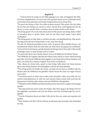 Bible - German Luther Translation .pdf