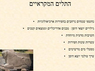 עד כה   לא היה ייצוג באתרי המורשת העולמית ולכן תלים אלו הם המתאימים ביותר  נחשפו שטחים נרחבים בחפירות ארכיאולוגיות  גילויים יוצאי דופן :   מבנים אדריכליים וממצאים קטנים  חשיבות מדעית מיוחדת  עשרות עונות חפירות  מפעלי מים מרשימים  ערך עולמי יוצא דופן  התלים המקראיים  