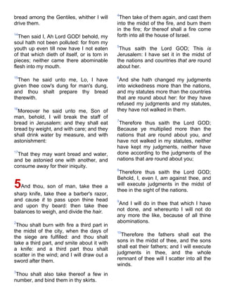 Bible   king james version - kjv