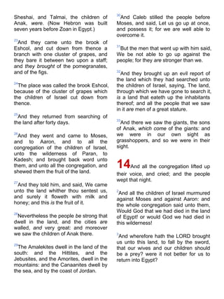Sheshai, and Talmai, the children of
Anak, were. (Now Hebron was built
seven years before Zoan in Egypt.)
23
And they came unto the brook of
Eshcol, and cut down from thence a
branch with one cluster of grapes, and
they bare it between two upon a staff;
and they brought of the pomegranates,
and of the figs.
24
The place was called the brook Eshcol,
because of the cluster of grapes which
the children of Israel cut down from
thence.
25
And they returned from searching of
the land after forty days.
26
And they went and came to Moses,
and to Aaron, and to all the
congregation of the children of Israel,
unto the wilderness of Paran, to
Kadesh; and brought back word unto
them, and unto all the congregation, and
shewed them the fruit of the land.
27
And they told him, and said, We came
unto the land whither thou sentest us,
and surely it floweth with milk and
honey; and this is the fruit of it.
28
Nevertheless the people be strong that
dwell in the land, and the cities are
walled, and very great: and moreover
we saw the children of Anak there.
29
The Amalekites dwell in the land of the
south: and the Hittites, and the
Jebusites, and the Amorites, dwell in the
mountains: and the Canaanites dwell by
the sea, and by the coast of Jordan.
30
And Caleb stilled the people before
Moses, and said, Let us go up at once,
and possess it; for we are well able to
overcome it.
31
But the men that went up with him said,
We be not able to go up against the
people; for they are stronger than we.
32
And they brought up an evil report of
the land which they had searched unto
the children of Israel, saying, The land,
through which we have gone to search it,
is a land that eateth up the inhabitants
thereof; and all the people that we saw
in it are men of a great stature.
33
And there we saw the giants, the sons
of Anak, which come of the giants: and
we were in our own sight as
grasshoppers, and so we were in their
sight.
14And all the congregation lifted up
their voice, and cried; and the people
wept that night.
2
And all the children of Israel murmured
against Moses and against Aaron: and
the whole congregation said unto them,
Would God that we had died in the land
of Egypt! or would God we had died in
this wilderness!
3
And wherefore hath the LORD brought
us unto this land, to fall by the sword,
that our wives and our children should
be a prey? were it not better for us to
return into Egypt?
 