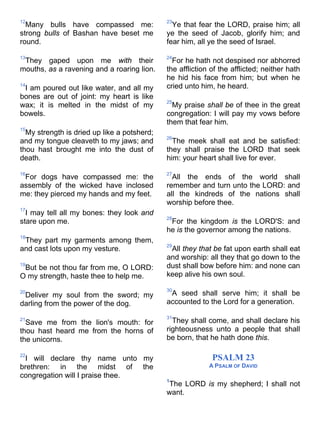 Bible   king james version - kjv