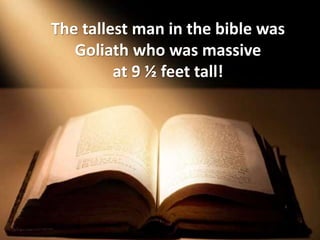 The tallest man in the bible was
Goliath who was massive
at 9 ½ feet tall!
 