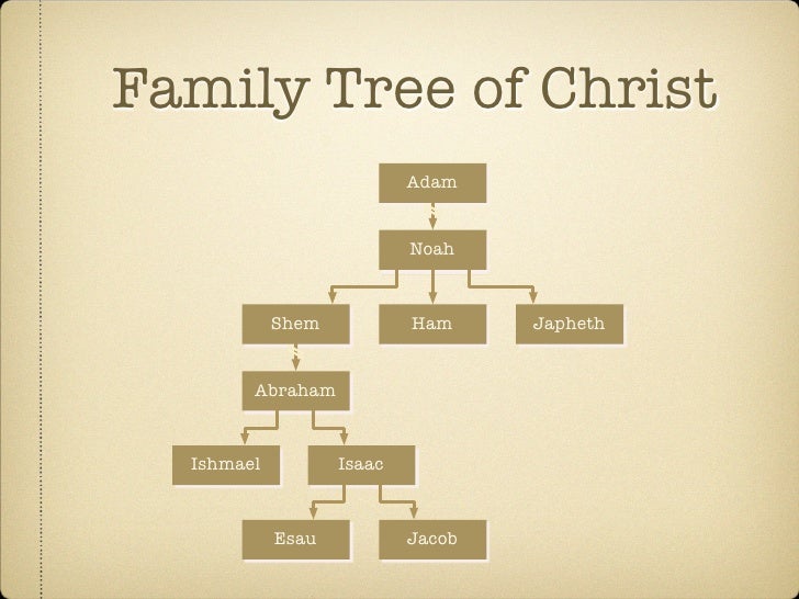 Jacob And Esau Family Tree Terah