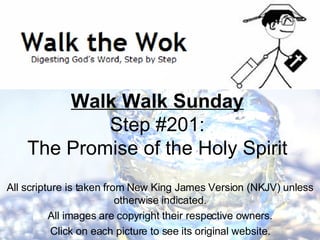 Walk Walk Sunday Step #201: The Promise of the Holy Spirit All scripture is taken from New King James Version (NKJV) unless otherwise indicated. All images are copyright their respective owners. Click on each picture to see its original website. 
