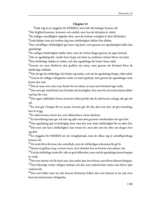 Bible - Swedish Version.pdf