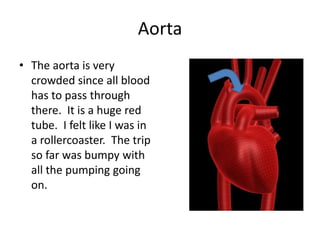 Aorta
• The aorta is very
  crowded since all blood
  has to pass through
  there. It is a huge red
  tube. I felt like I was in
  a rollercoaster. The trip
  so far was bumpy with
  all the pumping going
  on.
 