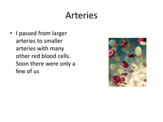 Arteries
• I passed from larger
  arteries to smaller
  arteries with many
  other red blood cells.
  Soon there were only a
  few of us
 