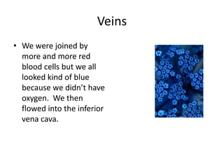 Veins
• We were joined by
  more and more red
  blood cells but we all
  looked kind of blue
  because we didn’t have
  oxygen. We then
  flowed into the inferior
  vena cava.
 