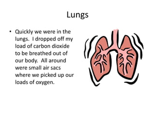 Lungs
• Quickly we were in the
  lungs. I dropped off my
  load of carbon dioxide
  to be breathed out of
  our body. All around
  were small air sacs
  where we picked up our
  loads of oxygen.
 