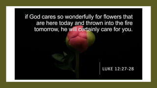 Inspirational Bible Verses