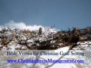 Bible Verses for Christian Goal Setting www.ChristianStressManagement.com 