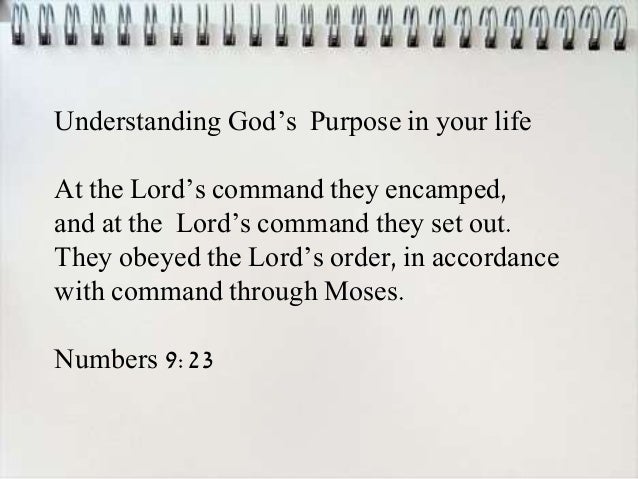purpose verse life about bible Purpose Bible Verses on