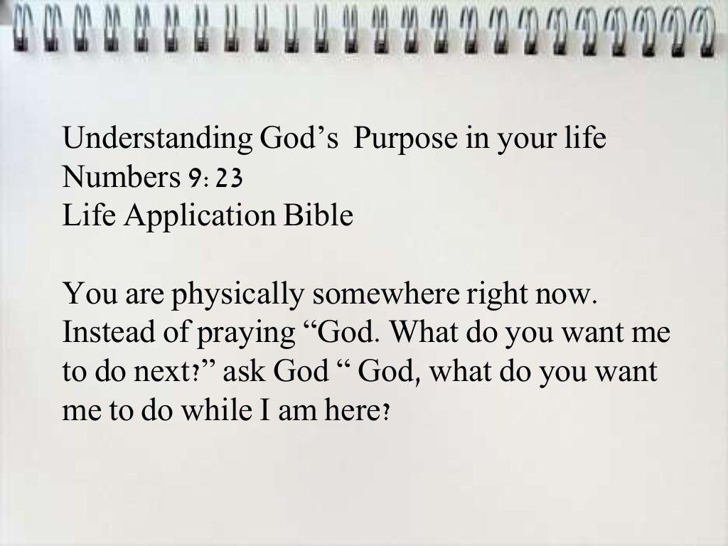 Bible Verses on Purpose