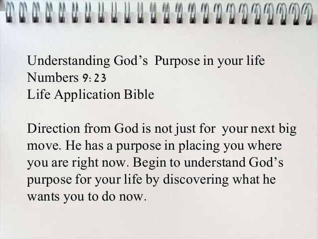 verse life of meaning bible Purpose on Bible Verses verse life of meaning bible Purpose on Bible Verses