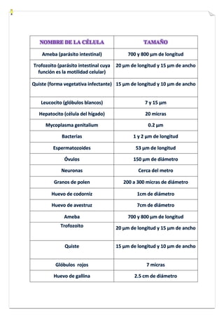 NOMBRE DE LA CÉLULA TAMAÑO 
 
