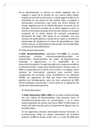 Los plasmodesmos se forman en células vegetales que se 
originan a partir de la división de una misma célula madre. 
Cuando ha ocurrido la cariocinesis, la célula vegetal madre se ha 
convertido en una célula con dos núcleos hijos, se produce a 
continuación la citocinesis, que toma una forma distinta en 
células vegetales que en las células desnudas, sin pared, de los 
animales. Durante la división de la célula vegetal se pone en 
marcha la formación de pared entre los dos núcleos, en el plano 
ecuatorial de la célula, dentro de vesículas procedentes 
del aparato de Golgi. Esta pared no se completa, sino que 
conserva las perforaciones a través de las cuales se mantiene la 
continuidad del citoplasma en forma de plasmodesmos. Cabe 
señalar que por un plasmodesmo sólo pueden ser transportadas 
sustancias de hasta 800 daltons. 
Ácido desoxirribonucleico 
El ácido desoxirribonucleico, abreviado como ADN, es un ácido 
nucleico que contiene instrucciones genéticasusadas en 
el desarrollo y funcionamiento de todos los organismos vivos 
conocidos y algunos virus, y es responsable de su 
transmisión hereditaria. El papel principal de la molécula de ADN es 
el almacenamiento a largo plazo deinformación. Muchas veces, el 
ADN es comparado con un plano o una receta, o un código, ya que 
contiene las instrucciones necesarias para construir otros 
componentes de las células, como las proteínas y las moléculas 
deARN. Los segmentos de ADN que llevan esta información 
genética son llamados genes, pero las otras secuencias de ADN 
tienen propósitos estructurales o toman parte en la regulación del 
uso de esta información genética. 
Ácido ribonucleico 
El ácido ribonucleico (ARN o RNA) es un ácido nucleico formado 
por una cadena de ribonucleótidos. Está presente tanto en 
lascélulas procariotas como en las eucariotas, y es el único 
material genético de ciertos virus (virus ARN). El ARN celular es 
lineal y de hebra sencilla, pero en el genoma de algunos virus es 
de doble hebra. 
En los organismos celulares desempeña diversas funciones. Es 
la molécula que dirige las etapas intermedias de la síntesis 
proteica; el ADN no puede actuar solo, y se vale del ARN para 
 