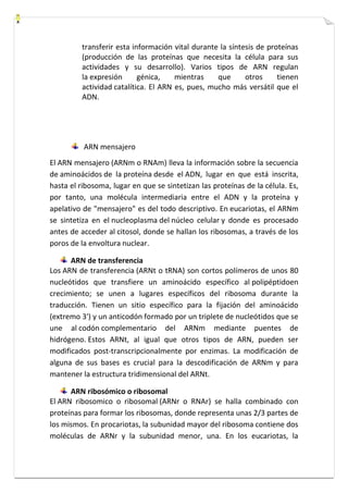 transferir esta información vital durante la síntesis de proteínas 
(producción de las proteínas que necesita la célula para sus 
actividades y su desarrollo). Varios tipos de ARN regulan 
la expresión génica, mientras que otros tienen 
actividad catalítica. El ARN es, pues, mucho más versátil que el 
ADN. 
ARN mensajero 
El ARN mensajero (ARNm o RNAm) lleva la información sobre la secuencia 
de aminoácidos de la proteína desde el ADN, lugar en que está inscrita, 
hasta el ribosoma, lugar en que se sintetizan las proteínas de la célula. Es, 
por tanto, una molécula intermediaria entre el ADN y la proteína y 
apelativo de "mensajero" es del todo descriptivo. En eucariotas, el ARNm 
se sintetiza en el nucleoplasma del núcleo celular y donde es procesado 
antes de acceder al citosol, donde se hallan los ribosomas, a través de los 
poros de la envoltura nuclear. 
ARN de transferencia 
Los ARN de transferencia (ARNt o tRNA) son cortos polímeros de unos 80 
nucleótidos que transfiere un aminoácido específico al polipéptidoen 
crecimiento; se unen a lugares específicos del ribosoma durante la 
traducción. Tienen un sitio específico para la fijación del aminoácido 
(extremo 3') y un anticodón formado por un triplete de nucleótidos que se 
une al codón complementario del ARNm mediante puentes de 
hidrógeno. Estos ARNt, al igual que otros tipos de ARN, pueden ser 
modificados post-transcripcionalmente por enzimas. La modificación de 
alguna de sus bases es crucial para la descodificación de ARNm y para 
mantener la estructura tridimensional del ARNt. 
ARN ribosómico o ribosomal 
El ARN ribosomico o ribosomal (ARNr o RNAr) se halla combinado con 
proteínas para formar los ribosomas, donde representa unas 2/3 partes de 
los mismos. En procariotas, la subunidad mayor del ribosoma contiene dos 
moléculas de ARNr y la subunidad menor, una. En los eucariotas, la 
 