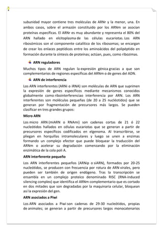 subunidad mayor contiene tres moléculas de ARNr y la menor, una. En 
ambos casos, sobre el armazón constituido por los ARNm se asocian 
proteínas específicas. El ARNr es muy abundante y representa el 80% del 
ARN hallado en elcitoplasma de las células eucariotas. Los ARN 
ribosómicos son el componente catalítico de los ribosomas; se encargan 
de crear los enlaces peptídicos entre los aminoácidos del polipéptido en 
formación durante la síntesis de proteínas; actúan, pues, como ribozimas. 
ARN reguladores 
Muchos tipos de ARN regulan la expresión génica gracias a que son 
complementarios de regiones específicas del ARNm o de genes del ADN. 
ARN de interferencia 
Los ARN interferentes (ARNi o iRNA) son moléculas de ARN que suprimen 
la expresión de genes específicos mediante mecanismos conocidos 
globalmente como ribointerferenciao interferencia por ARN. Los ARN 
interferentes son moléculas pequeñas (de 20 a 25 nucléotidos) que se 
generan por fragmentación de precursores más largos. Se pueden 
clasificar en tres grandes grupos: 
Micro ARN 
Los micro ARN (miARN o RNAmi) son cadenas cortas de 21 ó 22 
nucleótidos hallados en células eucariotas que se generan a partir de 
precursores específicos codificados en elgenoma. Al transcribirse, se 
pliegan en horquillas intramoleculares y luego se unen a enzimas 
formando un complejo efector que puede bloquear la traducción del 
ARNm o acelerar su degradación comenzando por la eliminación 
enzimática de la cola poli A. 
ARN interferente pequeño 
Los ARN interferentes pequeños (ARNip o siARN), formados por 20-25 
nucleótidos, se producen con frecuencia por rotura de ARN virales, pero 
pueden ser también de origen endógeno. Tras la transcripción se 
ensambla en un complejo proteico denominado RISC (RNA-induced 
silencing complex) que identifica el ARNm complementario que es cortado 
en dos mitades que son degradadas por la maquinaria celular, bloquean 
así la expresión del gen. 
ARN asociados a Piwi 
Los ARN asociados a Piwi son cadenas de 29-30 nucleótidos, propias 
de animales; se generan a partir de precursores largos monocatenarios 
 