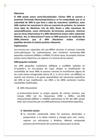 Ribozimas 
El ARN puede actuar como biocatalizador. Ciertos ARN se asocian a 
proteínas formando ribonucleoproteínas y se ha comprobado que es la 
subunidad de ARN la que lleva a cabo las reacciones catalíticas; estos 
ARN realizan las reacciones in vitro en ausencia de proteína. Se conocen 
cinco tipos de ribozimas; tres de ellos llevan a cabo reacciones de 
automodificación, como eliminación de introneso autocorte, mientras 
que los otros (ribonucleasa P y ARN ribosómico) actúan sobre substratos 
distintos. Así, la ribonucleasa P corta un ARN precursor en moléculas de 
ARNt, mientras que el ARN ribosómico realiza el enlace 
peptídico durante la síntesis proteica ribosomal. 
Espliceosoma 
Los intrones son separados del pre-ARNm durante el proceso conocido 
como splicing por los espliceosomas, que contienen numerosos ARN 
pequeños nucleares (ARNpn o snRNA). En otros casos, los propios intrones 
actúan como ribozimas y se separan a si mismos de los exones. 
ARN pequeño nucleolar 
Los ARN pequeños nucleolares (ARNpno o snoRNA), hallados en 
el nucléolo y en los cuerpos de Cajal, dirigen la modificación de 
nucleótidos de otros ARN; el proceso consiste en transformar alguna de 
las cuatro bases nitrogenadas típicas (A, C, U, G) en otras. Los ARNpno se 
asocian con enzimas y los guían apareándose con secuencias específicas 
del ARN al que modificarán. Los ARNr y los ARNt contienen muchos 
nucleótidos modificados. 
ARN mitocondrial 
La mitocondrias tienen su propio aparato de síntesis proteica, que 
incluye ARNr (en los ribosomas), ARNt y ARNm. Los ARN 
mitocondriales (ARNmt o mtARN) representan el 4% del ARN celular 
total. Son transcritos por una ARN polimerasa mitocondrial específica. 
Nutrición celular: 
La nutrición comprende todos los procesos destinados a 
proporcionar a la célula materia y energía para vivir, crecer, 
reponer sus estructuras y dividirse. Además comprende 
procesos de eliminación de sustancias tóxicas para la célula. 
 