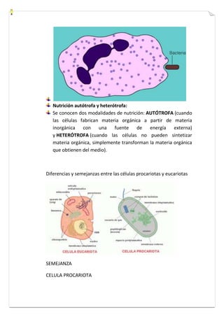 Nutrición autótrofa y heterótrofa: 
Se conocen dos modalidades de nutrición: AUTÓTROFA (cuando 
las células fabrican materia orgánica a partir de materia 
inorgánica con una fuente de energía externa) 
y HETERÓTROFA (cuando las células no pueden sintetizar 
materia orgánica, simplemente transforman la materia orgánica 
que obtienen del medio). 
Diferencias y semejanzas entre las células procariotas y eucariotas 
SEMEJANZA 
CELULA PROCARIOTA 
 